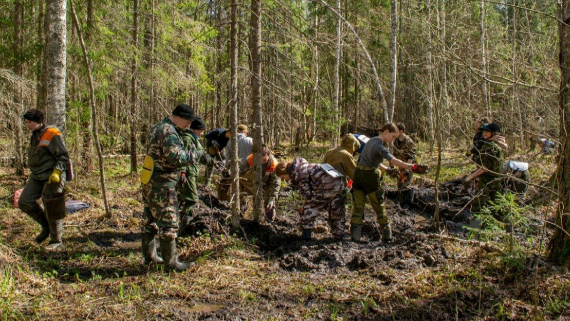 Керченские поисковики обнаружили останки 13 без вести пропавших бойцов Красной армии